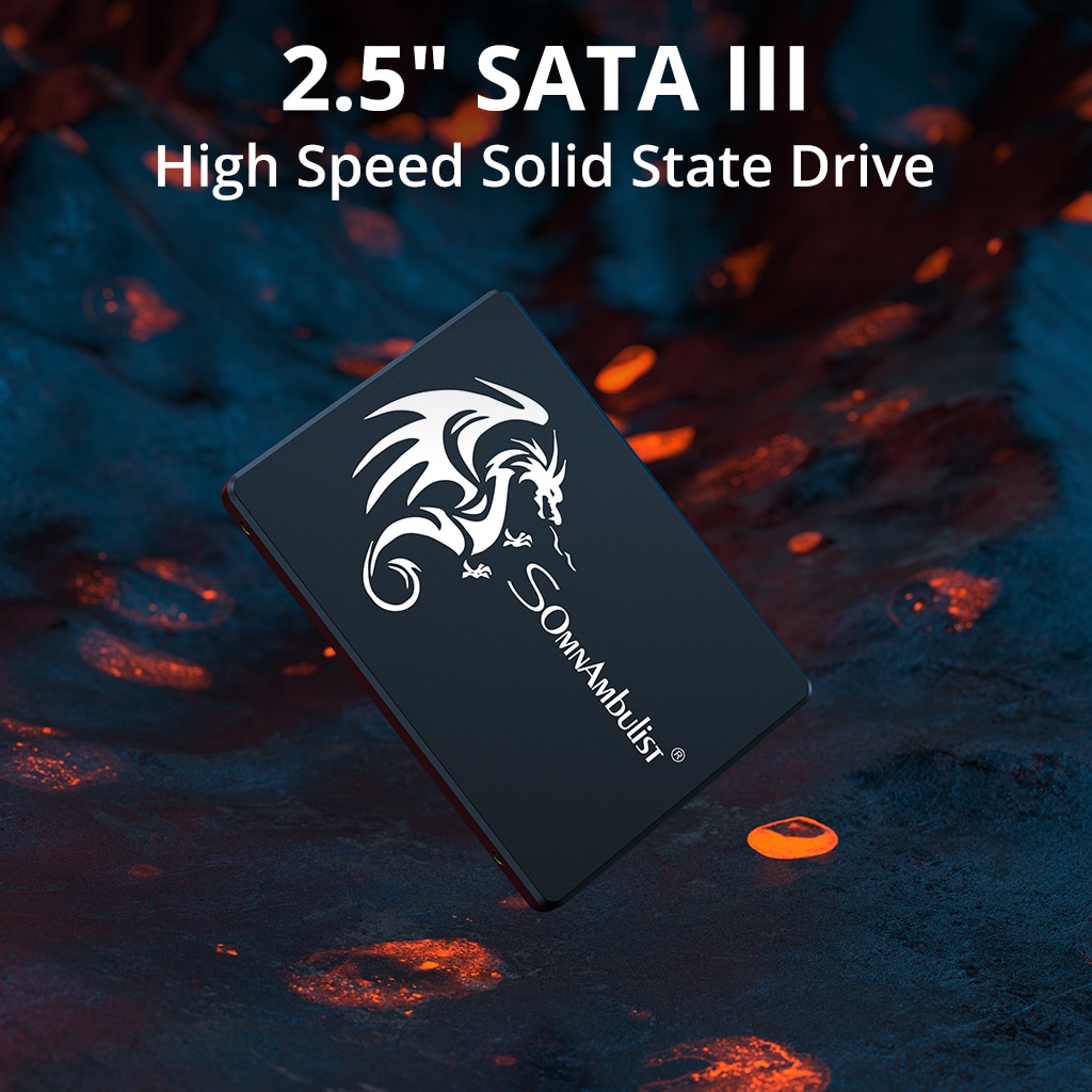 SomnAmbulist-unidad interna de - Ssd 500Gb reseña y precio