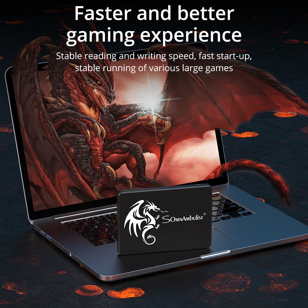 SomnAmbulist-unidad interna de - Ssd 500Gb reseña y precio